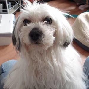 Meet your Posher, Carolina